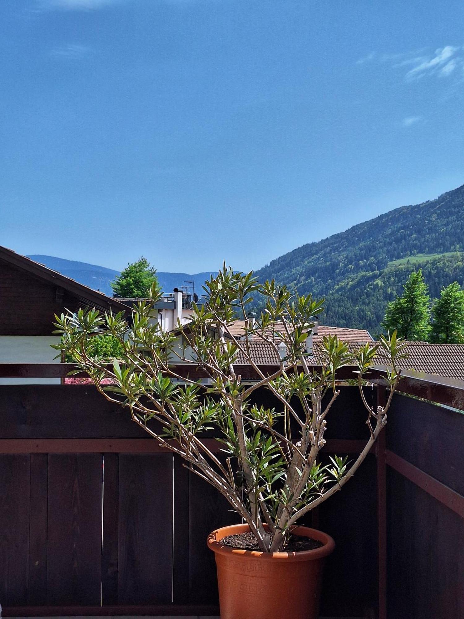 Cafe Rudi Living Bed & Breakfast Parcines Exterior foto